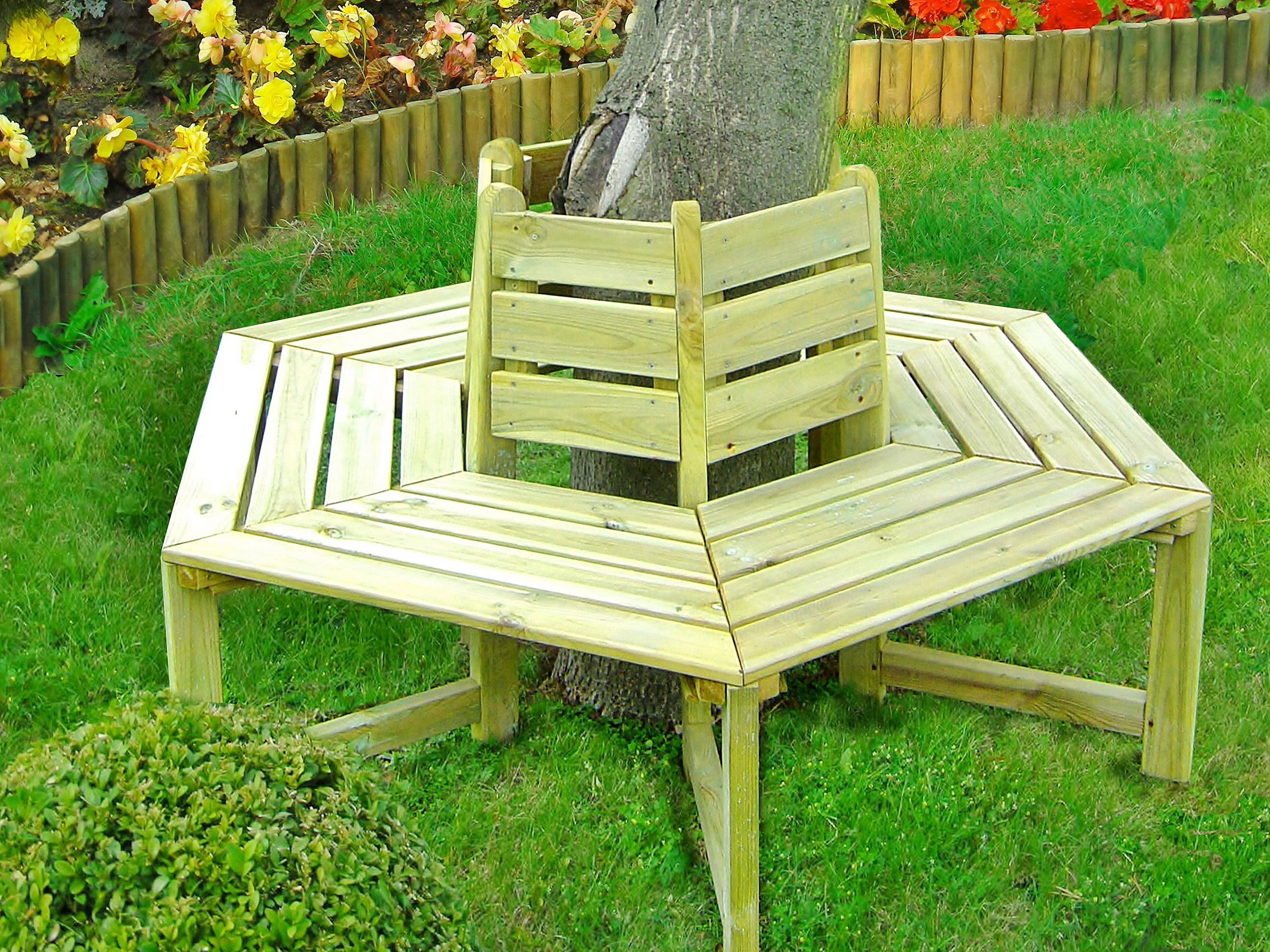 Baumbank Eine Baumbank um einen Baum